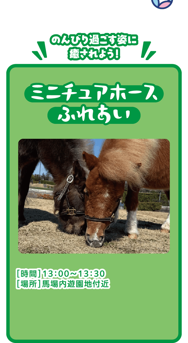 ミニチュアホースふれあい