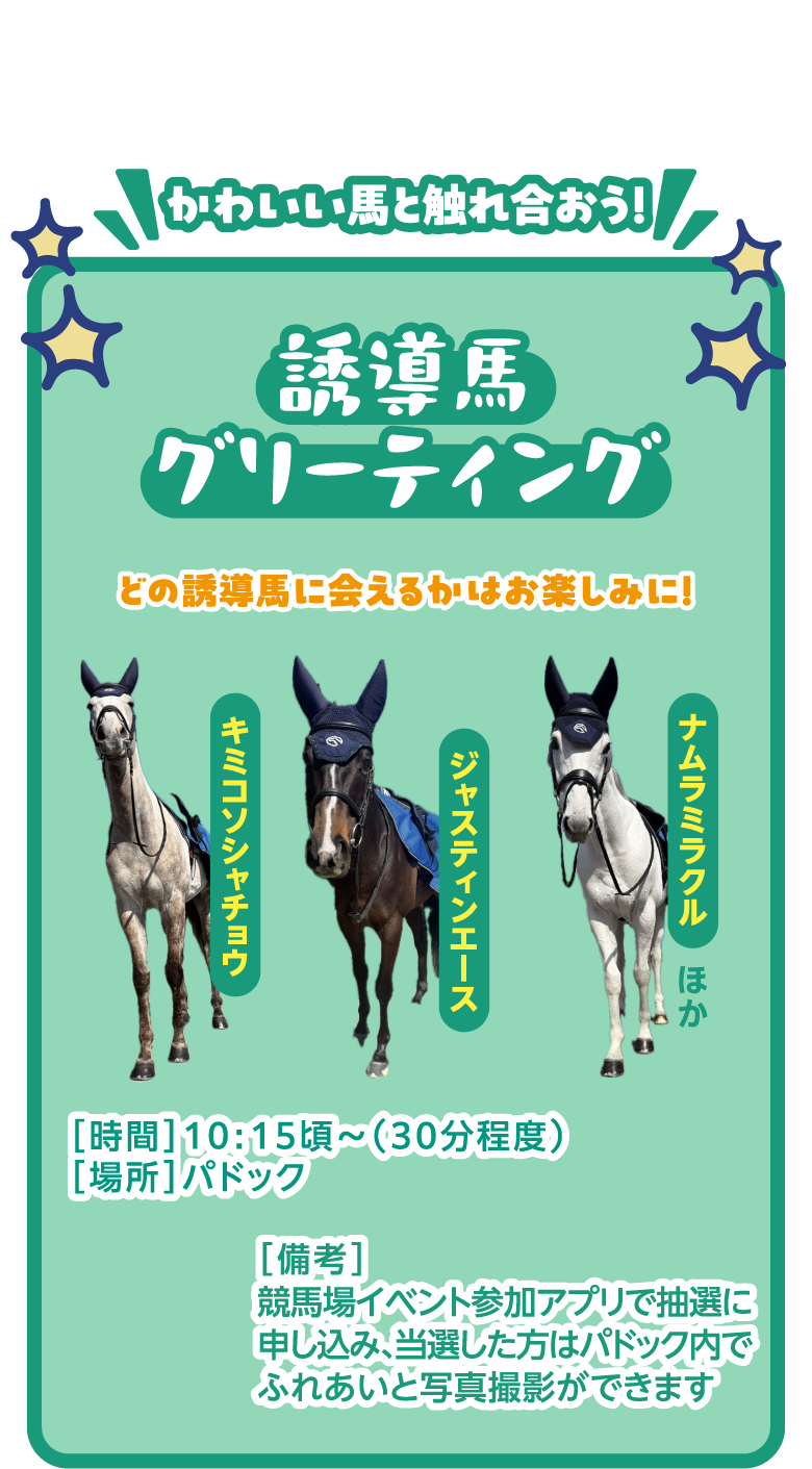 誘導馬グリーティング